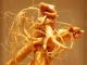 Herbal Remedies For Erectile Dysfunction
